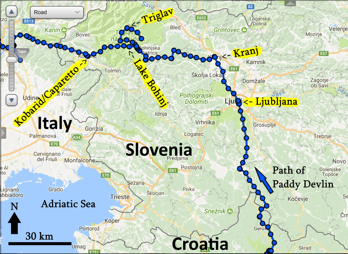 Large detailed political map of Slovenia with roads, cities and ...